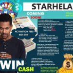 Starhela Dashboard Guide – How to Navigate and Use It